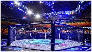 Assuming you had no prior fighting experience, you'll probably want to train mma for a few years before you take a real fight in the cage. How To Start An Mma Career