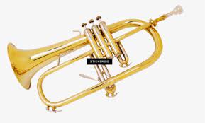 Trumpet Trumpet Gif Transparent Hd Png Download Kindpng Make your own images with our meme generator or animated gif maker. trumpet trumpet gif transparent hd