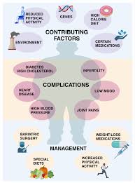 Image result for Obesity