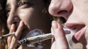 Global Marijuana Use Rose By 60 Percent Over The Past Decade Science In Depth Reporting On Science And Technology Dw 26 06 2019
