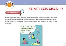 Lengkap Kunci Jawaban Tema 3 Kelas 5 Sd Halaman 41 42 43 44
