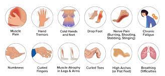 We did not find results for: What Is Cmt Charcot Marie Tooth Association