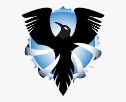 Baltimore ravens is a professional american football team that has been playing in national football league since 1996. Classy Ravens Logos Free Raven Png Icons And Png Backgrounds Baltimore Ravens Logo Png Transparent Png Transparent Png Image Pngitem
