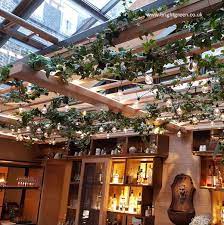 Maybe you would like to learn more about one of these? Bespoke Artificial Ivy On Vine Wrapped Around Ceiling Trellis Above A Hotel Bar Artificial Vines Small Courtyard Gardens Artificial Ivy