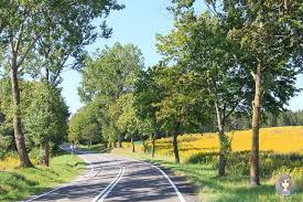 Das kostenlose hochauflösende foto von feld, landschaft, litauen. Polen Nach Litauen Anreise Auf Dem Landweg Ins Baltikum