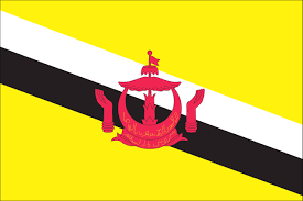 Die nationalflagge ging aus einer rein gelben sultansfahne hervor. Flagge Brunei 110 G M Www Flaggenmeer De