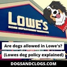 Hey folks, have a business call lowes pets co, dba wecome to lowes pets. Are Dogs Allowed In Lowe S Lowes Dog Policy Explained