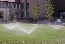 Typically, lawns with more shade or clay soil do not require as much water as those in direct sunlight. Watering Established Lawns 7 199 Extension
