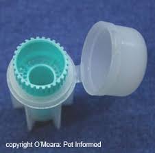 fecal flotation for detecting parasite
