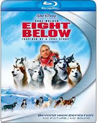 Watch Eight Below 2006 Brrip 720p X264 English Hindi Online Free Team Bmk Paul Walker Dvd Movies Dog Movies