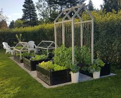 Vaxtkraft Nar Saker Borjar Bli Klara Och Man Kan Tassa Ut Pa Morgonen Med En Kaffekopp Istallet For I 2020 Ideer Tradgardsarbete Tradgardsplanering Gronsakstradgard