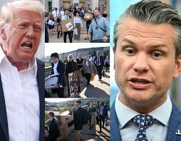 Liz Cheney/Adam Kinzinger Against Trump