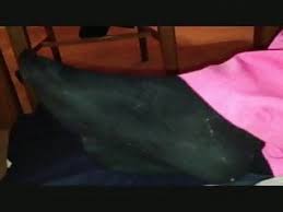 You can go to victorian london, or to pompeii, or to the 51st century. Free Feet On Crotch Porn Videos 27 Tubesafari Com