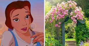Disney Quiz: Make Garden To Reveal Inner Princess