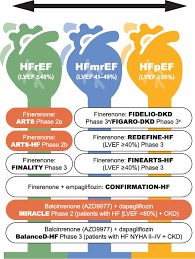 Image result for Finerenone