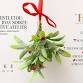 Under the Mistletoe: A Lingerie Holiday Soirée at... event in Haymarket, VA