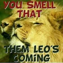 Birthday Coming Up Meme Leo Pin By Jonea Jones On Leo Leo Season Memes Leo Season Leo Love