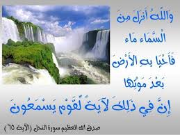 تعبير عن الماء اهميتها و الحفاظ عليها عبارات