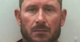 Man pleads guilty in hammer beating death