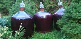 домашнее вино