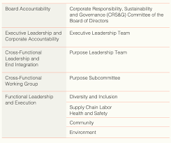 2 / corporate governance in asia. Governance Nike Purpose