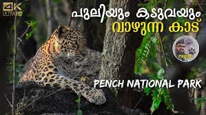 Lion Safari | Mumbai tourist Places ...