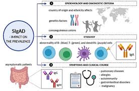 Image result for Humoral Immunodeficiency