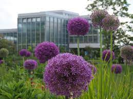 Der beeindruckende botanische garten befindet sich nördlich oberhalb der kernstadt auf d.morgenstelle. Willkommen Im Botanischen Garten Universitat Tubingen