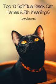 Top 10 Spiritual Black Cat Names With Meanings Catvills Girl Cat Names Cute Cat Names Cat Names