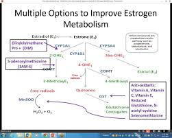 2013 09 23 Egt Physician Webinar Part 3 Estrogen Metabolism