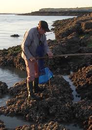 319 likes · 1 talking about this. High Tide Low Tide Fishing Gad