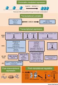 A Molecular Blueprint Of Lignin Repression Trends In Plant Science