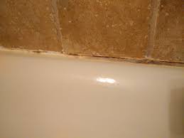 Black mold in your grout, you don't have to re caulk your bathtub. How To Avoid Mold In Shower Caulk Home Improvement Stack Exchange
