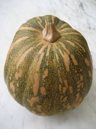Whap on the head ?? Tips For Growing Pumpkins Sustainable Gardening Australia