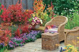 Vor allem im herbst suchen viele menschen den wald auf, verabreden sich zu. Terrasse Herbstlich Dekorieren Die Schonsten Ideen Mein Schoner Garten