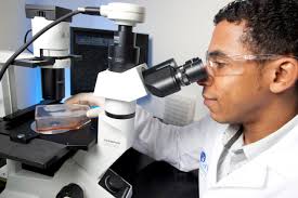 Scientific Publications