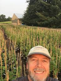 Hazelnut growers get replant funding