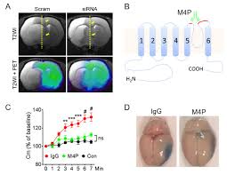 Contribute to ragagar/lingam development by creating an account on github. Calcium Signalling Laboratory