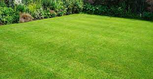 How do i know i can trust these reviews about trugreen lawn care? Trugreen Lawn Care Review 2021 This Old House