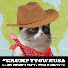 6 911 629 просмотров • 31 окт. 41 Cats Cowboy Cowgirl Ideas Cats Cowboy And Cowgirl Cats And Kittens