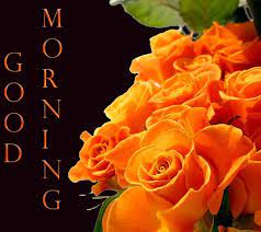 Good Morning Blessings To All Orange Roses Flowers Growing Roses