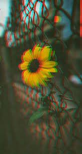 27 Trendy Wallpaper Iphone Trippy Yellow Iphone Trendy Trippy Wallpaper Iphone Wallpaper Yellow Glitch Wallpaper Trippy Wallpaper