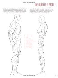 Comic book anatomy torrents for free, downloads via magnet also available in listed torrents detail page, torrentdownloads.me have largest bittorrent database. Pin On Manga And Drawing Inspiration