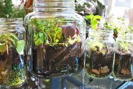 Mason Jar Terrarium Tutorial Craftstylish Mason Jar Terrarium Mini Garden Mason Jar Gifts Diy