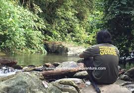 913 likes · 1 talking about this. We Only Use English Speaking Licensed Guides Picture Of Bukit Lawang Adventure Tripadvisor