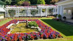 加拿大布查德花园里的月季图赏-藤本月季网