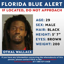 The florida blue alert notifies the public of critical information when a law enforcement officer is killed, has suffered serious bodily injury, or is missing while in the line of duty and the suspect is still at large. What Is The Blue Alert Law