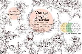 Gardenia Flower Clipart Png Beautiful Flower Clipart Set 739133 Elements Design Bundles Flower Clipart Flower Clipart Png Flower Outline