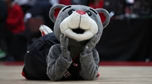 Since 2005, the conference also selects an individual to be honored as the top professional in the league, the mascot of the year. Top 10 Funniest Nba Mascots Ever