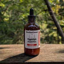 Image result for Cryptolepis